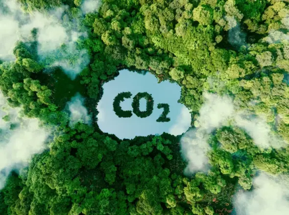 Zölden gondolkodunk és cselekszünk